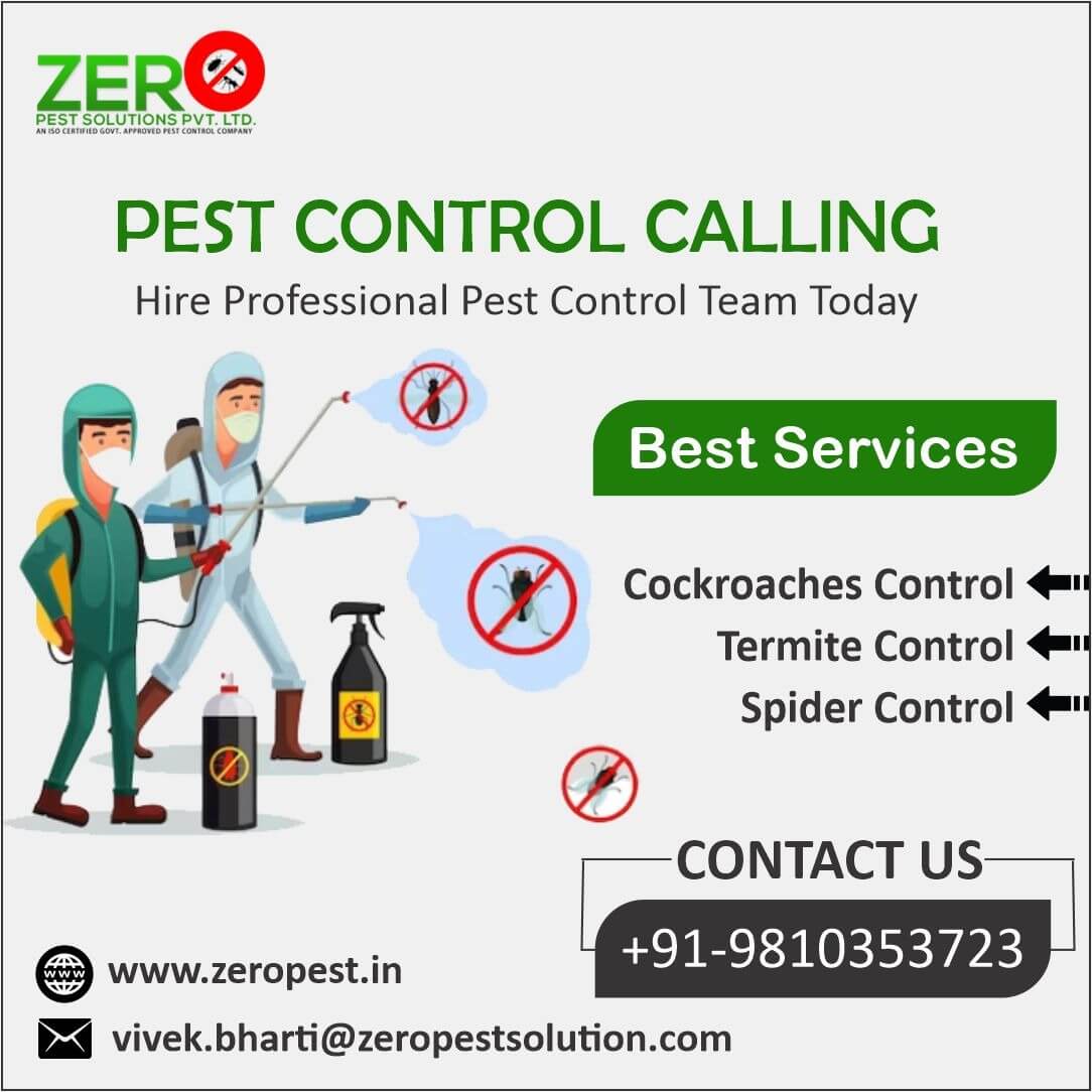 Effective Pest Control Services in Delhi for a Pest-Free Home - Zero ...