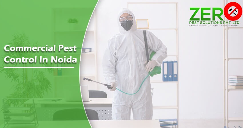 Commercial Pest control in Noida