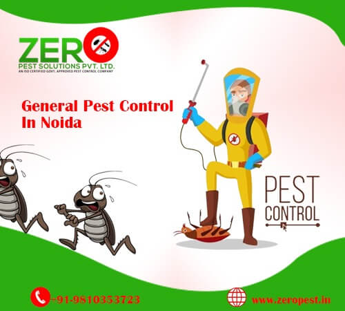General Pest Control In Noida
