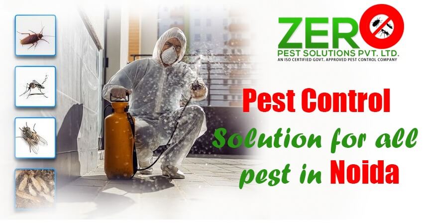 Pest Control in Noida