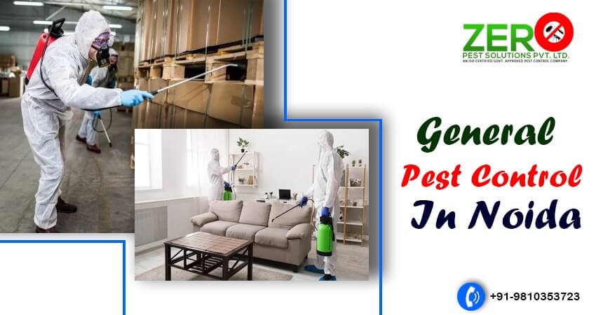 General Pest Control In Noida